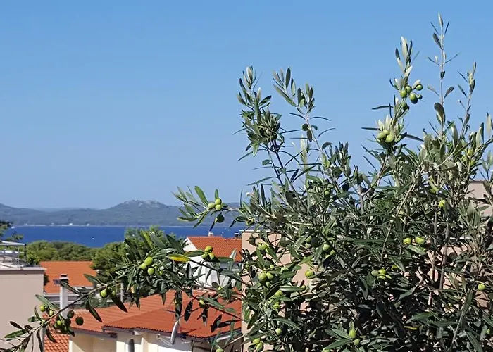 Διαμέρισμα Garden Terrace *